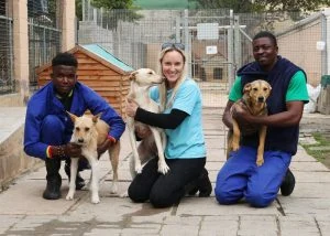 Animal Welfare Society Helderberg charity image